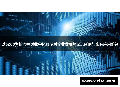 以3200为核心探讨数字化转型对企业发展的深远影响与实际应用路径