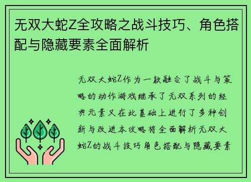 无双大蛇Z全攻略之战斗技巧、角色搭配与隐藏要素全面解析